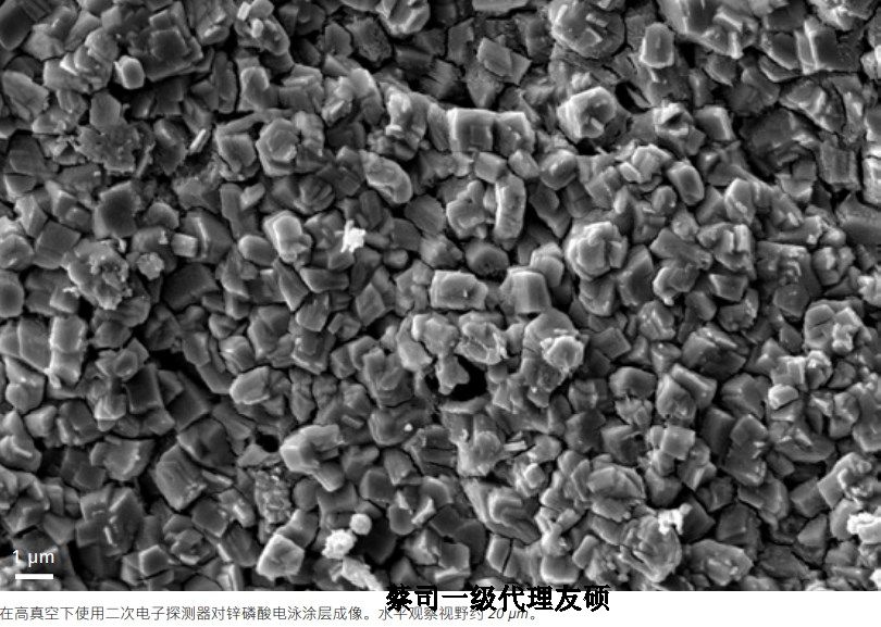 江苏蔡司江苏扫描电镜