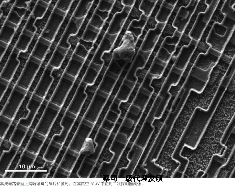 江苏蔡司江苏扫描电镜EVO