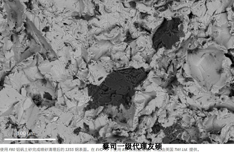 江苏蔡司江苏扫描电镜EVO