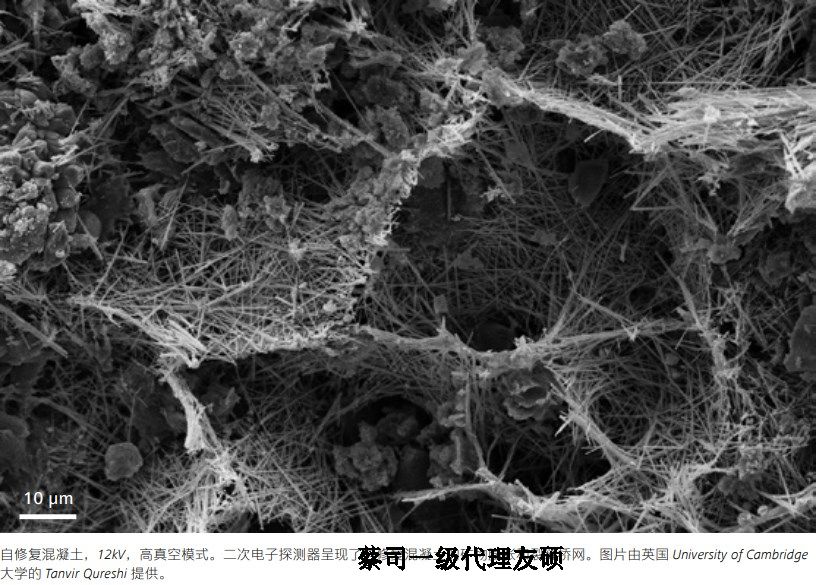 江苏蔡司江苏扫描电镜