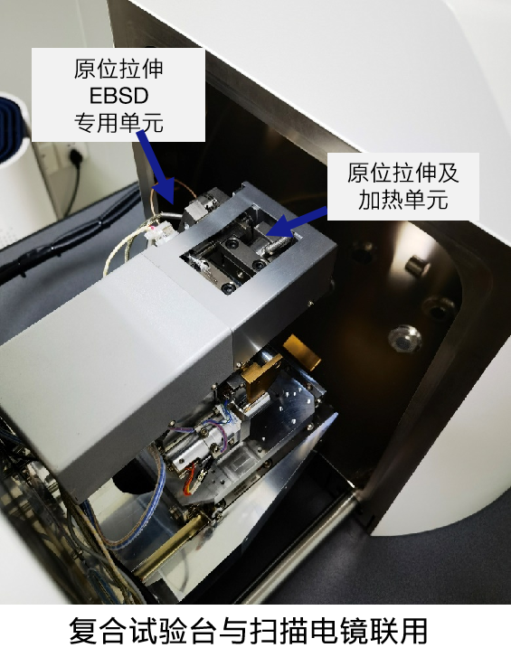 场发射江苏扫描电镜Gemini