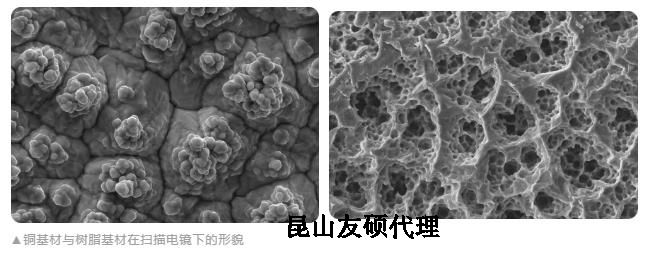 江苏蔡司江苏扫描电镜