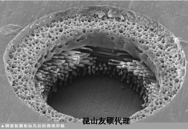 江苏蔡司江苏扫描电镜